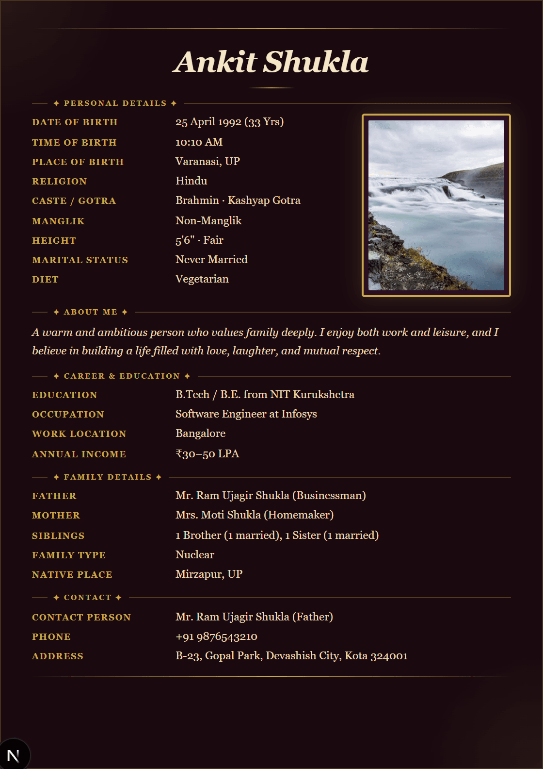 Night Velvet marriage biodata template
